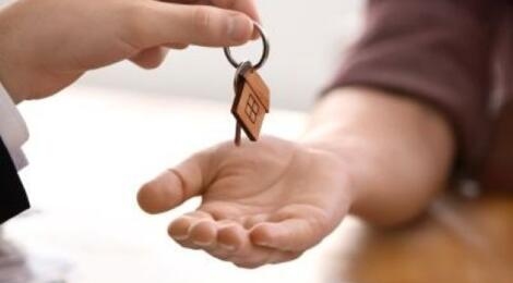 Terrain de 1,24 ha à vendre : Photo