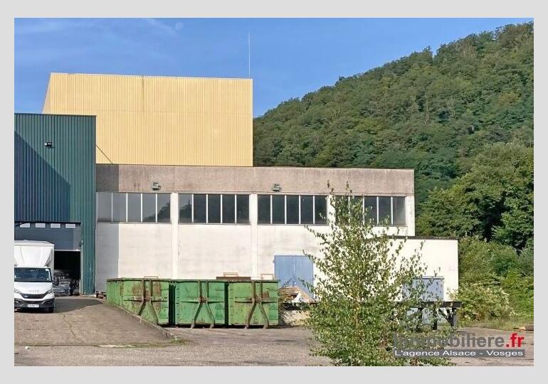 Batiment industriel entrepot