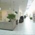 bureau cap reseau 4