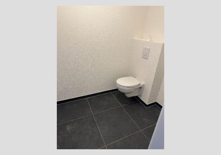 Local professionnel - Souffelweyersheim
